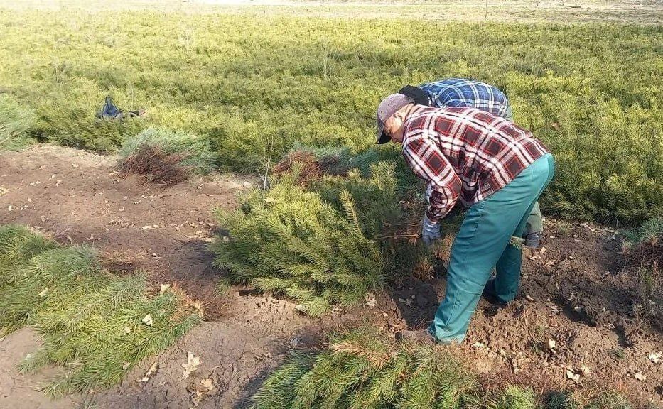 ���������� ������� ��������� 60 ����� ����� �� ������� ���