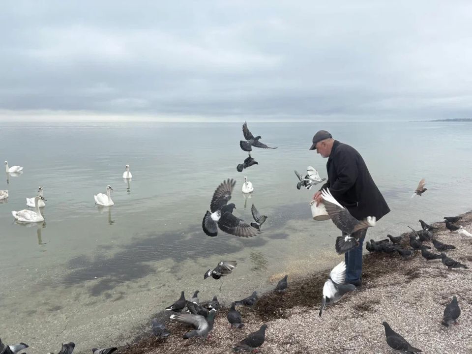 ���������� ���������� ����� ����������� ������� ������ ��������� ������� �� ����������� ����� ���������