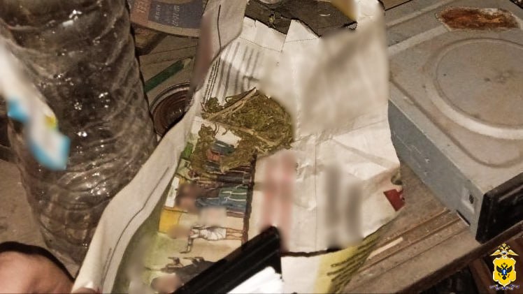 Полицейские изъяли растительный наркотик у жителя Новотроицкого округа