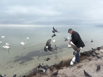 ���������� ���������� ����� ����������� ������� ������ ��������� ������� �� ����������� ����� ���������