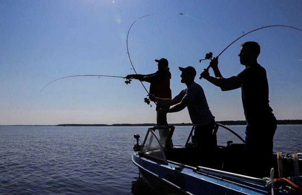 ������� ������������� ���� ��������� � �����-������������ ��������: ��� ����� ����� �������