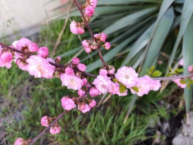 ������ ����, ������ ���������� �������������� ������!