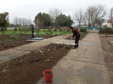 ������������� ������������� ���������� ������ � ������ ��������� ��������� ���������������, ������������ ������������ ���������� �������