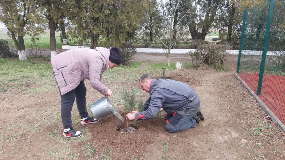 ������� ���������: �� ���������� ������������� �������������� ������ � ����� ������� �������� ��������������