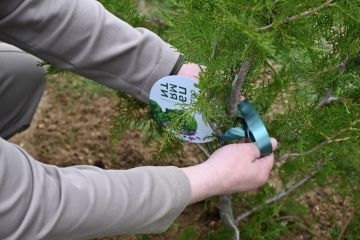 � ���� ���������� ������ ����� ���� ������, ����������� ������ �������� � ���������� ��������