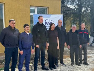 ��������, �������� � ���������: ������ ���� ��������������� ������ � ������������ ������ ��������