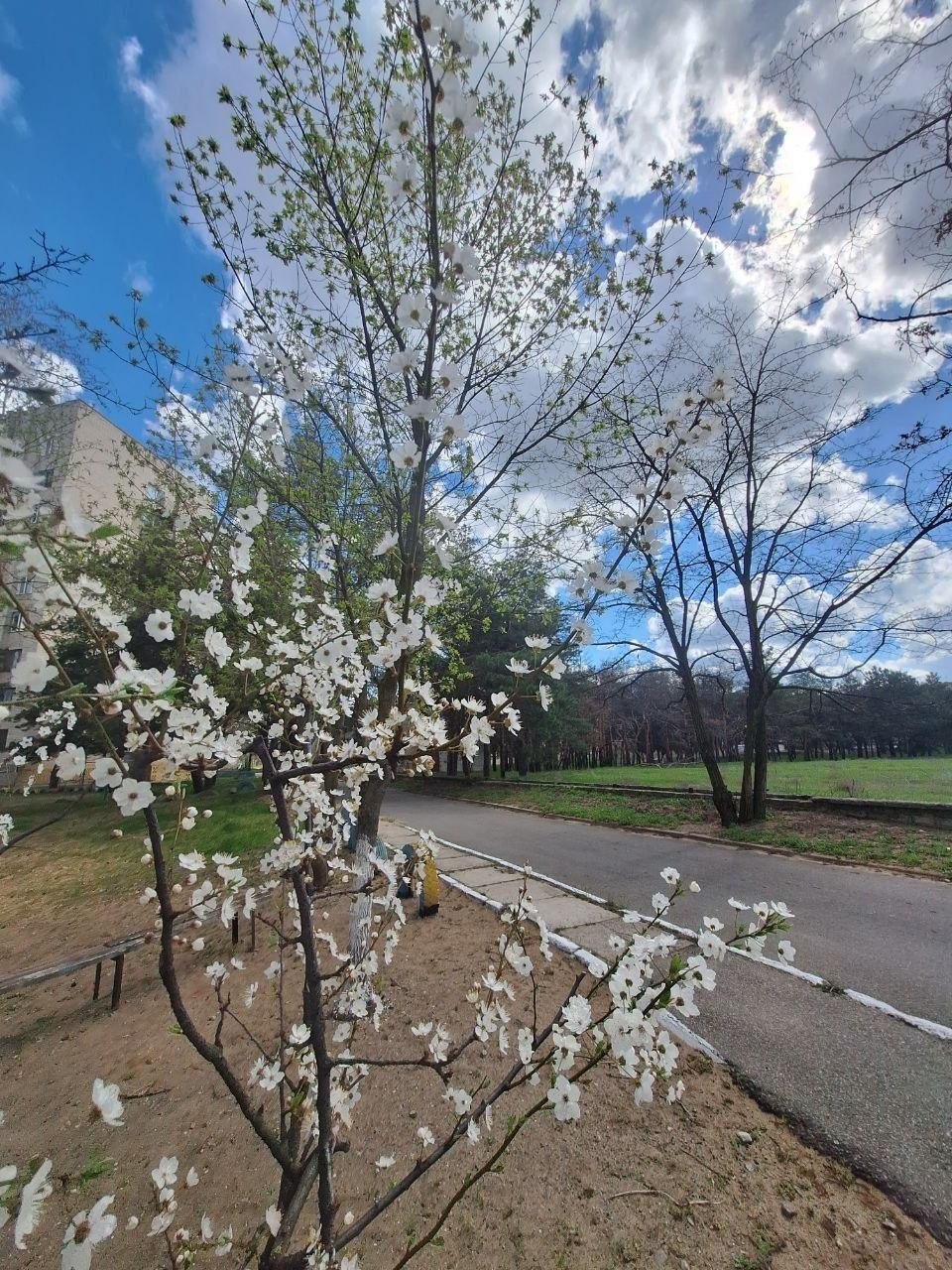 Доброе утро, Херсонщина!. Я люблю этот город