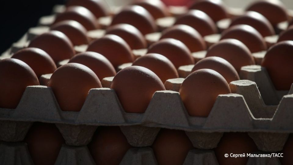 ���� �� ������� ���� � �� ����� ������ ��������� � ����� � ��������� ���������, ������� � ���