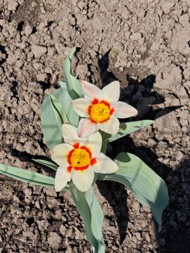 ������� ����, ������!. ��� � �������� ����� ����