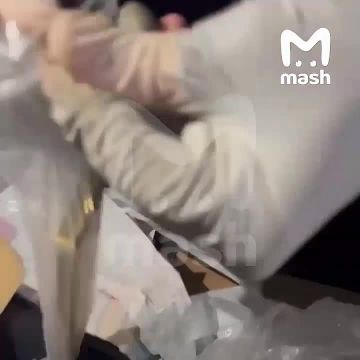 7 млн евро, 4 млн долларов, 31 млн рублей наличкой, золотые слитки, колье с бриллиантами, патриотичное кубанское вино, оружие на имя губернатора Кубани и визитки обнаружили в поместье у чиновника Андрея Коробки