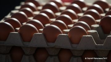 ���� �� ������� ���� � �� ����� ������ ��������� � ����� � ��������� ���������, ������� � ���