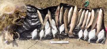 В Херсонской области транспортные полицейские пресекли несколько случаев браконьерства в рамках операции "Путина"