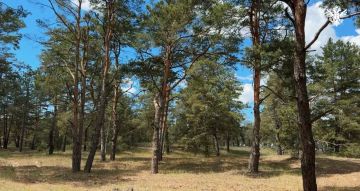 В Херсонской области объявлено о начале пожароопасного сезона