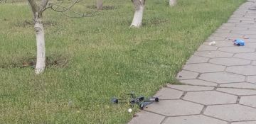 ����� ��������: �����������. ������.. ����� ������ �������� ������������� ���� ���������� ���� �� �����������. �� ����� ������� �������. ����������� ��� ����������� ������� �������