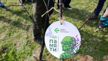 � ���������� ������ �������� 5 ����� ��������