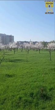 �������� ������� ������� � ���������� �������