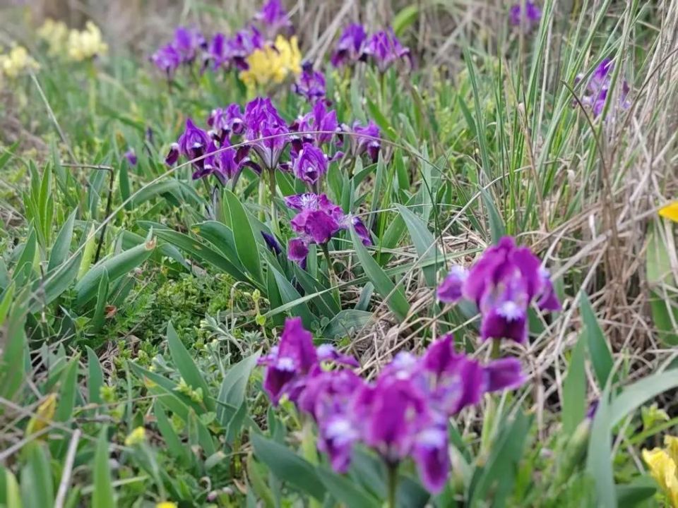 ����� ����������: ����� �������� � ���� �����