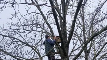 ������������� ��������� ��� ������ ���� �������� � ���������� �������