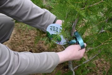 � ���� ���������� ����������� ������ �������� 20 ��� � ������ ������������� ����� ���� ������