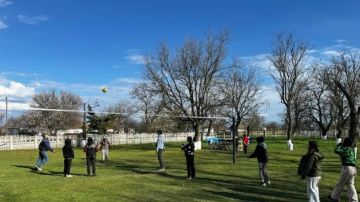 В Павловке открыли новую волейбольную площадку