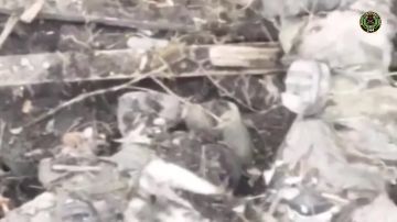 ����� 344 ��������������� ����� ��������� ���������� ������ ���� ����� �� ����� ������� "���� ���"