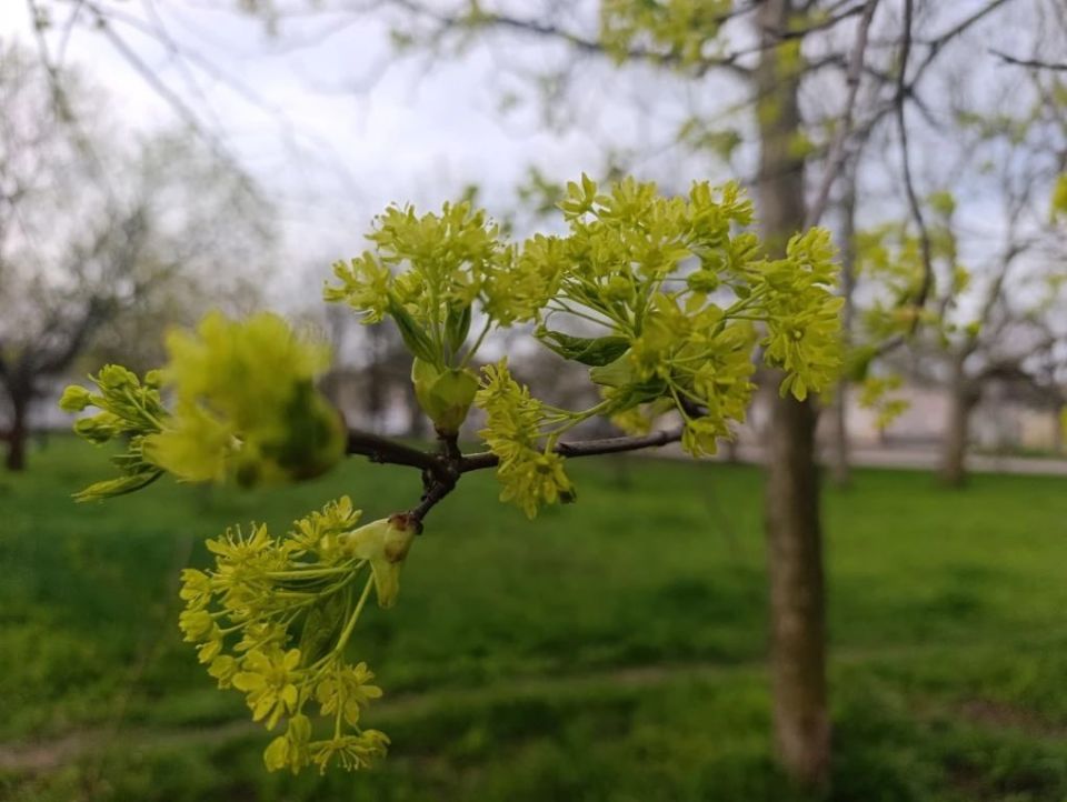 ���� ��������: ������ ����, ������ � ����� ����������� ������!