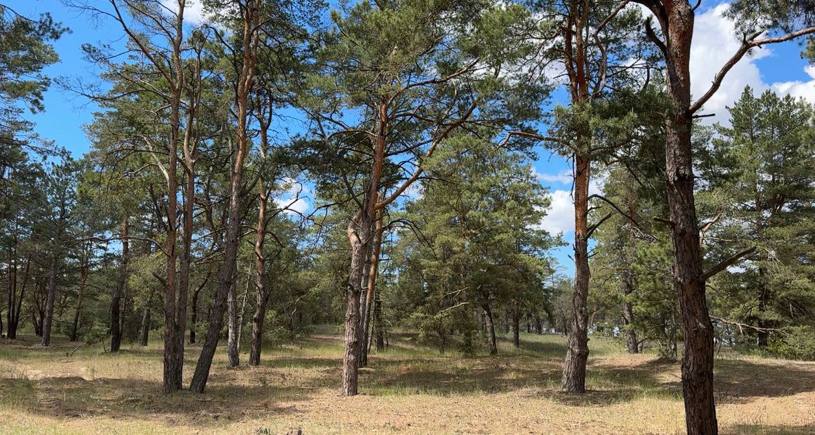 В Херсонской области начался пожароопасный сезон 2026 года