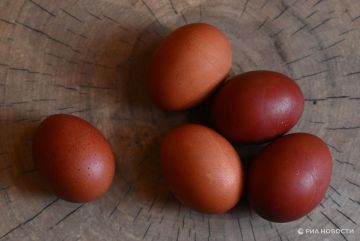 Названы регионы, в которых понедельник после Пасхи будет выходным