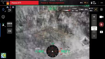 Енот из Херсона: Вы ждали ?. Мы исполняем