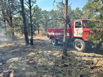 В Херсонской области объявлено о начале пожароопасного сезона