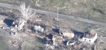 Донецкий фронт. На Красноармейском участке операторы выжигают западную окраину н.п. Гришино от присутствия живой силы укрорейха