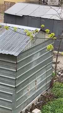 Енот из Херсона: Днепр. Очередная группа гестаповцев безнаказанно украла мужика с улицы