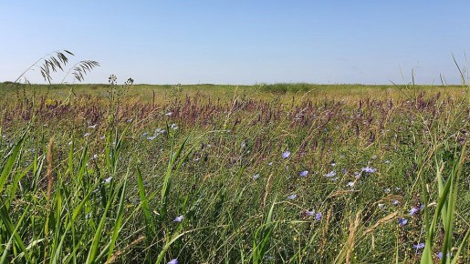 ������ ����, ����������!. ���� � �������, � ����������� �����