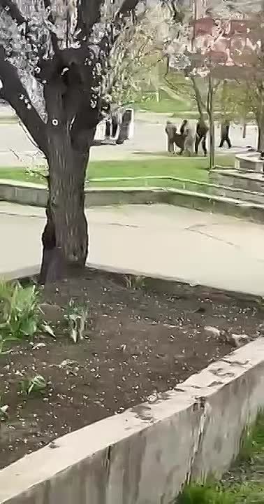 ���� �� �������: ������ ���. ��� �� ���� �� ����� ������� �� ��������� ����� ����������, ������� �� ������ ������ � ������ �� ����� ������ ���������