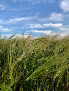 ������ ����, ����������!. � ����� ��� �������� ���� � ������ ������ �������� ������ ������