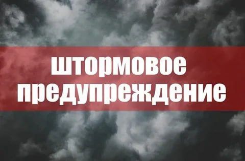 ��������� �������������� �� 14-16 ������ 2026 �