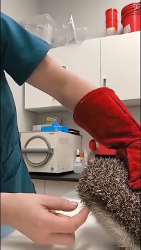 Упс, чувствую себя, словно сам попал на прием к врачу и мне делают прививку