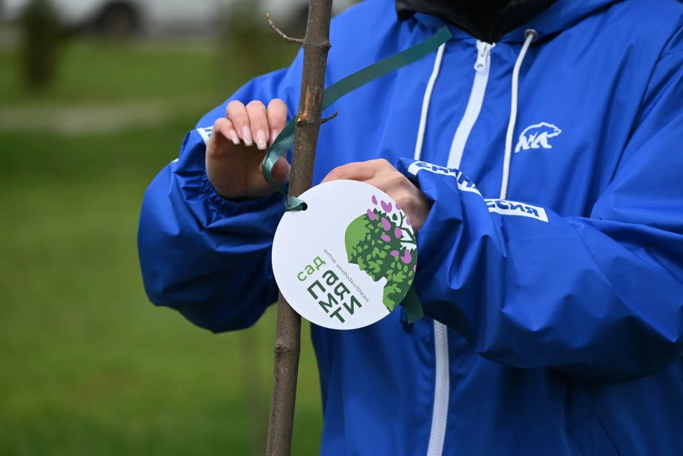 � ���������� ������ �������� 50 ������ � ������ ����� ���� ������