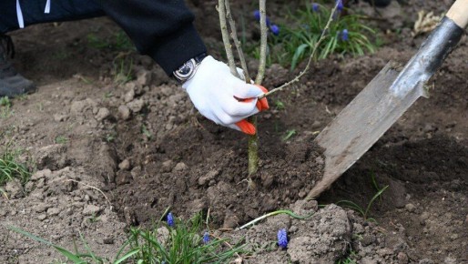 ��������� � ����� �������� � ���������� �����