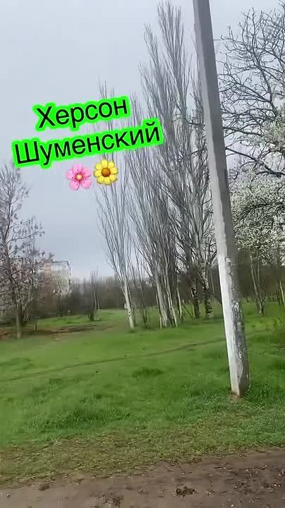 ������ ����, �������� ������