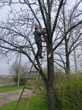 ���������� ������������� ��������������� ��������� ��������� �������� ��� ��������� ��������������� ���������� �������