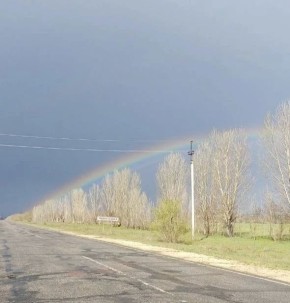 � ������������ �������� ������ ���� ���� ����� - ����������� ����� ����� ����������� ���������� �������