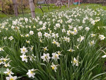 ������ ����, ������ ���������� ������!