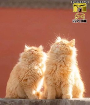 ������, ��������� ������� ���������! 0-3�� ������� ��� ������ ����� � ����� �� ����������, � ������ ����������� ����� �������� ����� � �������� ��������� �������� �����