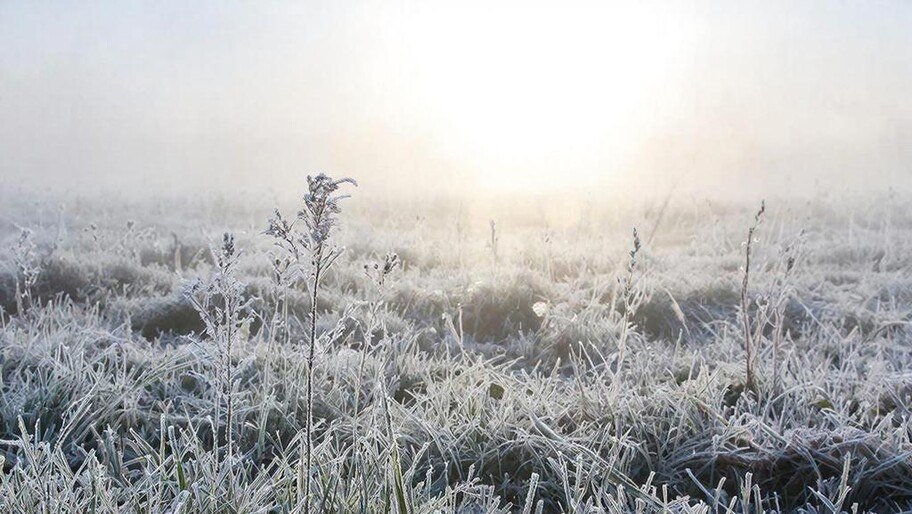 В Херсонской области ожидаются заморозки до -3°