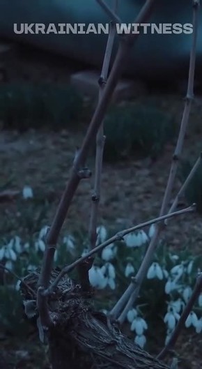 ���������� ������� �������� ����� �� ����� �� ���������