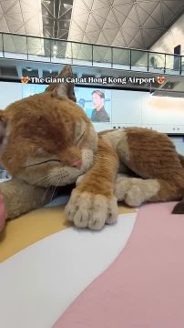 � ��������� �������� �������� ������ ���������