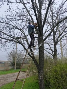 ���������� ������������� ��������������� ��������� ��������� �������� ��� ��������� ��������������� ���������� �������