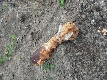 Миномётный снаряд 40-х годов нашли росгвардейцы в овраге под Геническом