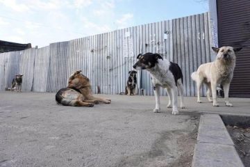 �� ��������� ����������� ���� ����� ������������ ������� ����� �������